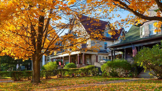 A row of suburban houses with a tree with fall leaves in front.